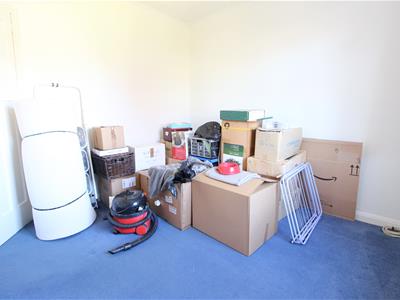 Picture 20
